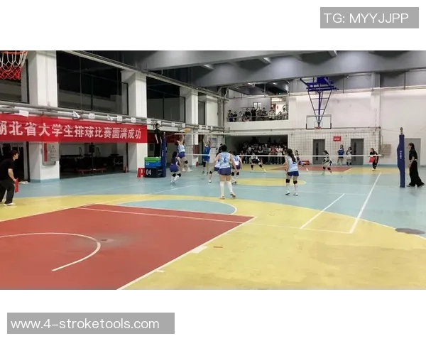 专业解读：武汉排球队的控制打法