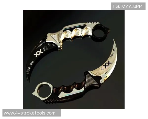 CS_GO焦点：LNG的技术探讨