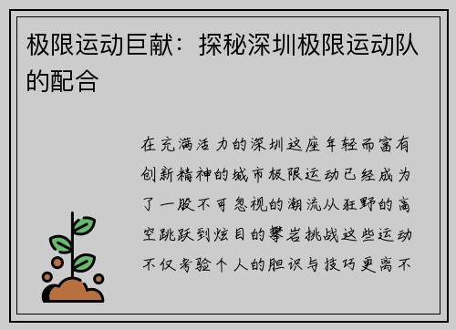 极限运动巨献:探秘深圳极限运动队的配合