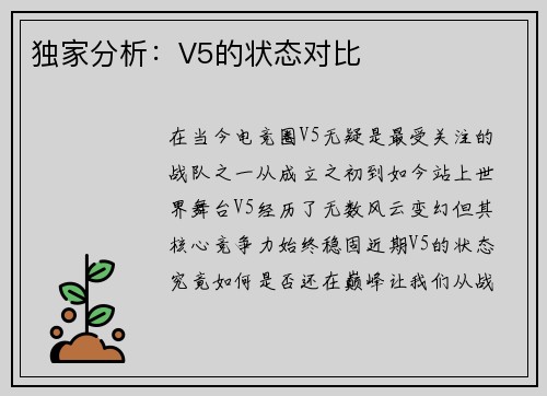 独家分析:V5的状态对比