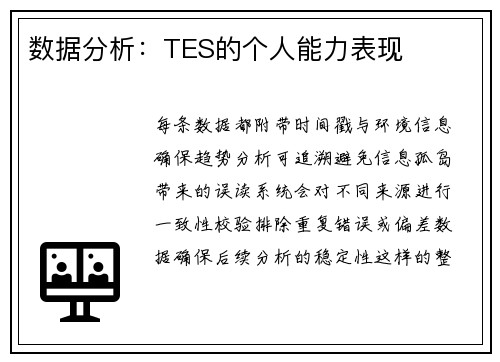 数据分析:TES的个人能力表现