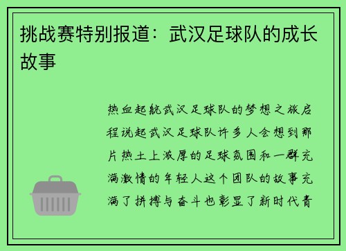 挑战赛特别报道：武汉足球队的成长故事